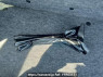 Used 2011 AT mitsubishi ek-wagon H82W Image[40]