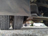 Used 2002 MT mitsubishi-fuso fighter FK64FK Image[32]