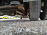 Used 2002 MT mitsubishi-fuso fighter FK64FK Image[34]