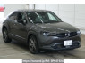 Used 2020 AT mazda mx-30 DREJ3P Image[0]