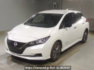 Nissan Leaf ZE1