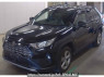 Used 2019 AT toyota rav4 MXAA54 Image[2]