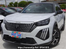 Peugeot null P24HN09