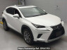 Used 2019 AT lexus nx AYZ10 Image[2]