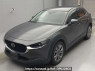 Used 2020 AT mazda cx-30 DMEP Image[0]
