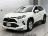 Used 2019 AT toyota rav4 MXAA52 Image[0]