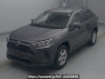 Used 2019 AT toyota rav4 MXAA52 Image[0]