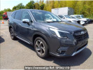 Subaru Forester SKE