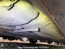 Used 2013 AT nissan juke YF15 Image[20]