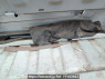 Used 2005 MT mazda bongo-van SK82V Image[39]