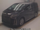Toyota Alphard AGH30W