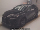 Lexus NX AYZ10