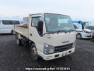 Isuzu Elf Truck NKR85AD