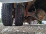 Used 1996 MT isuzu forward FRR33D1G Image[33]