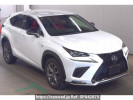 Lexus NX AGZ15