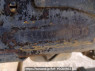 Used 1987 MT mitsubishi canter FE311BD Image[11]