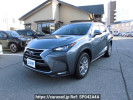 Lexus NX AYZ15