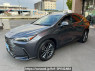 Used 2023 AT lexus nx AAZH25 Image[2]