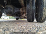 Used 1995 MT mitsubishi-fuso fighter FK618DD Image[29]