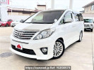Toyota Alphard DBA-ANH25W