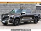 Others Tundra FUMEI