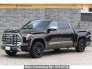Others Tundra FUMEI