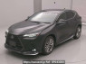Used 2023 AT lexus nx AAZH20 Image[0]