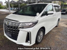 Toyota Alphard Hybrid AYH30W