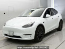 Others MODEL Y YL3YPT