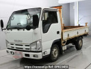 Isuzu Elf Truck NHR85A