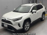 Used 2020 AT toyota rav4 AXAH54 Image[0]