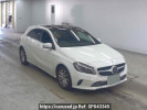 Mercedes Benz A-Class 176042