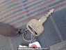 Used 1987 MT isuzu elf-truck NHR55E Image[22]