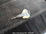 Used 1990 MT nissan condor DSH40 Image[32]