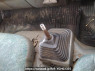 Used 2001 MT mitsubishi canter FE63CE Image[20]