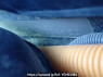 Used 2005 AT toyota mark-x GRX120 Image[11]