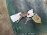 Used 1988 MT isuzu juston NRR12D Image[22]