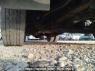 Used 2005 MT isuzu forward FRR35C3S Image[29]
