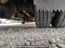 Used 1998 MT mitsubishi canter FE637E Image[31]