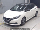 Nissan Leaf ZE1