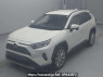 Used 2019 AT toyota rav4 MXAA54 Image[0]