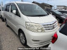 Used 2006 AT toyota alphard ANH10W Image[0]