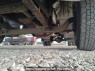 Used 1981 MT hino ranger FD173AA Image[30]
