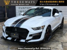 Ford Mustang ﾌﾒｲ