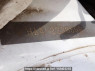 Used 1995 MT honda acty-truck HA4 Image[11]