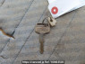 Used 1990 MT isuzu elf-truck NKR58ED Image[37]