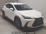 Used 2023 AT lexus nx AAZH25 Image[2]