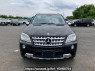 Used 2009 AT mercedes-benz m-class 164186 Image[1]