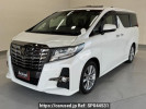 Toyota Alphard AGH30W