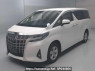Used 2022 AT toyota alphard-hybrid AYH30W Image[0]